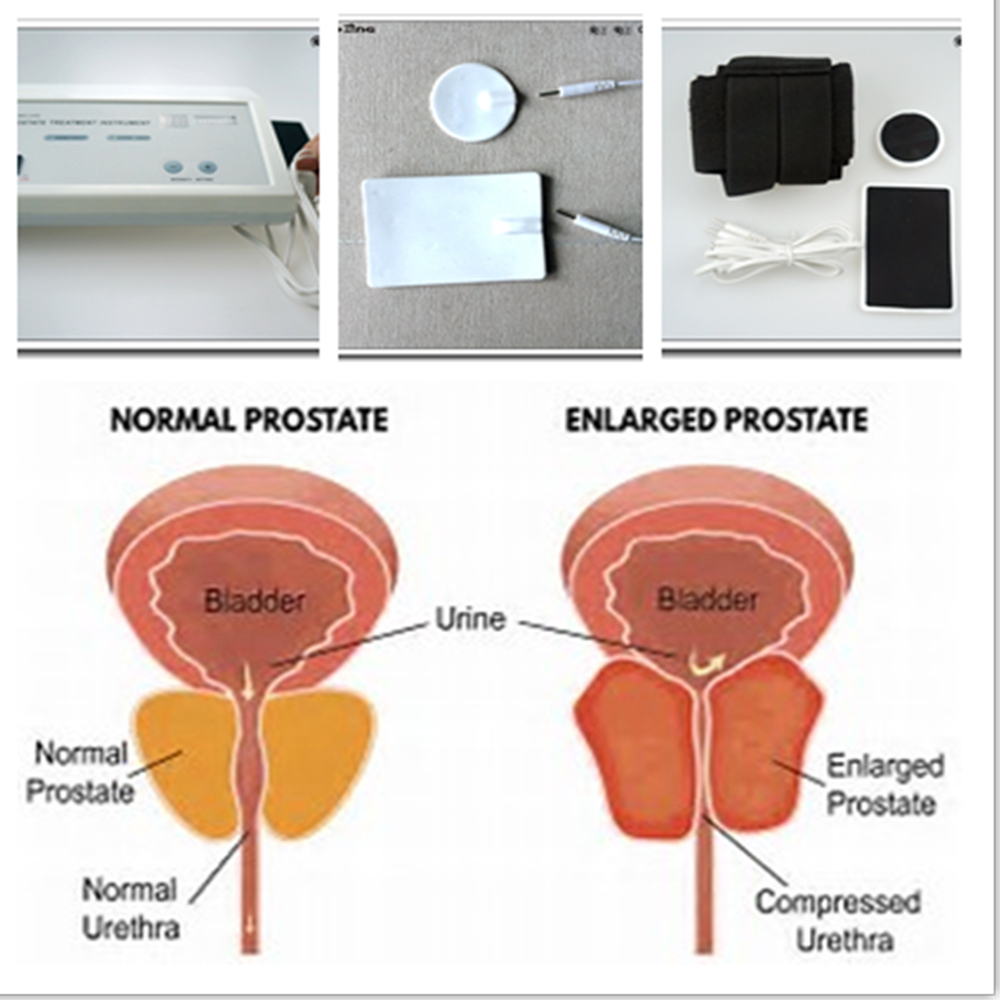 Men's Health Massager Powerful - đánh giá và giá Therapy Health And Wellness